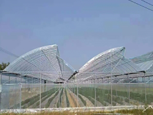 江西齊帝連棟大棚建造的幾個(gè)步驟