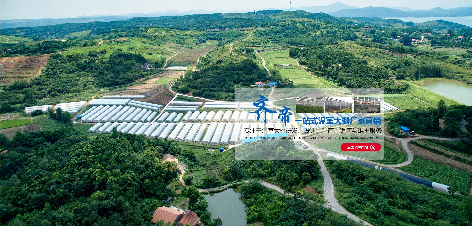 溫室蔬菜大棚,溫室大棚建造,連棟大棚建造